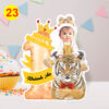 23