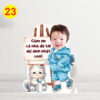 23